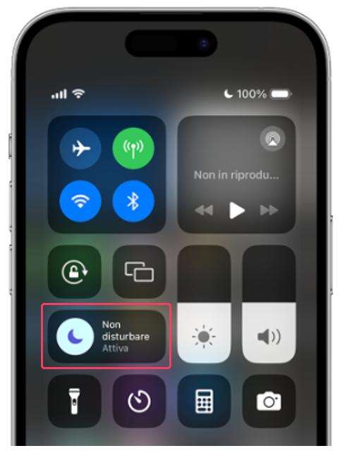 iPhone non squilla-3